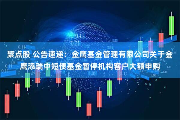 聚点股 公告速递：金鹰基金管理有限公司关于金鹰添瑞中短债基金暂停机构客户大额申购