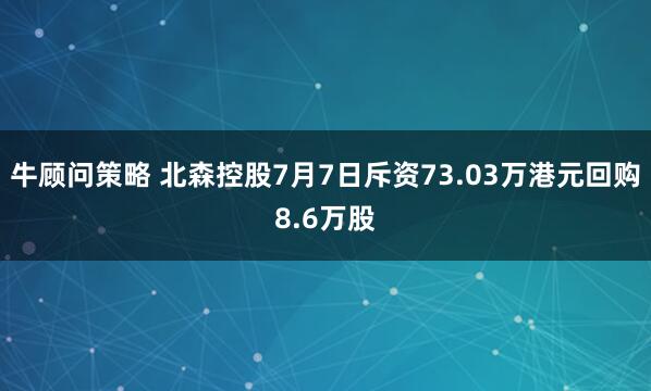 牛顾问策略 北森控股7月7日斥资73.03万港元回购8.6万股