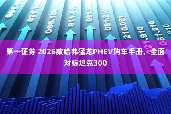 第一证券 2026款哈弗猛龙PHEV购车手册，全面对标坦克300