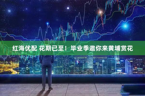 红海优配 花期已至!毕业季邀你来黄埔赏花